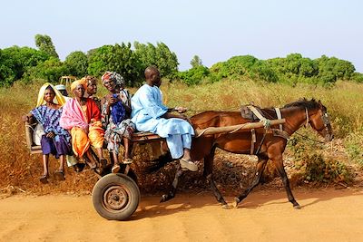 voyage Le Sine Saloum intime ...