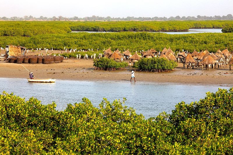Grenier sur pilotis au milieu de la mangrove - Joal-Fadiouth - Thiès - Sénégal