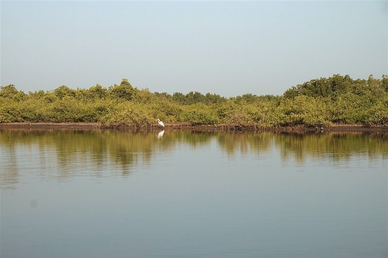 Mlomp - La Casamance - Sénégal