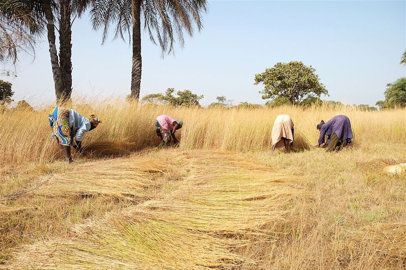 La Casamance en famille 