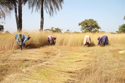 La Casamance en famille  3