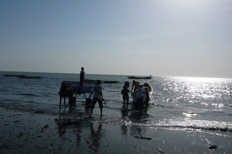 Aire Marine Protégée de Joal-Fadiouth - Sénégal