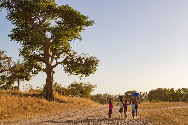 Enfants de retour au village - Sine Saloum - Sénégal