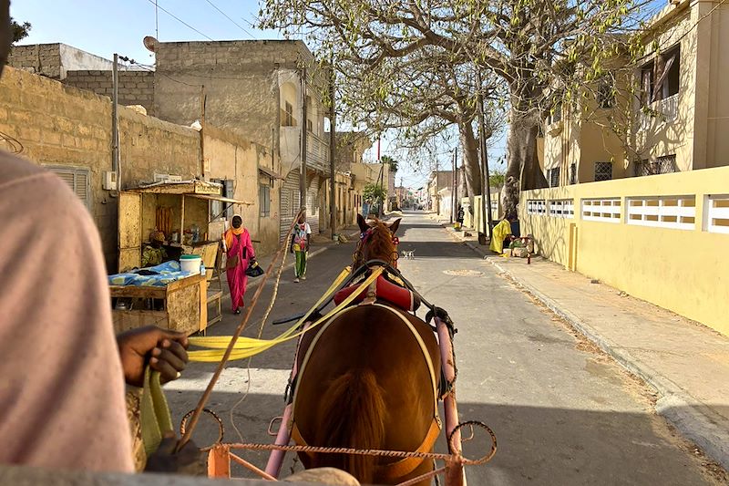Saint-Louis en charrette - Sénégal