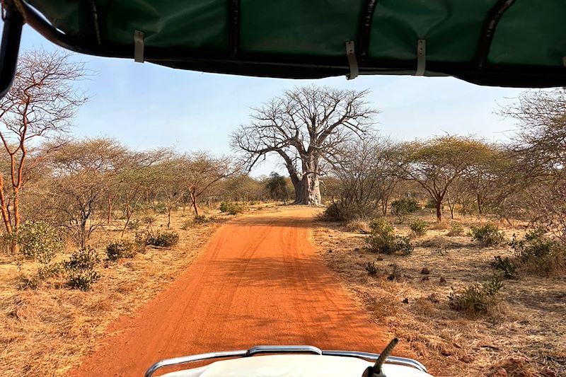 Safari dans la Réserve de Bandia - Sénégal