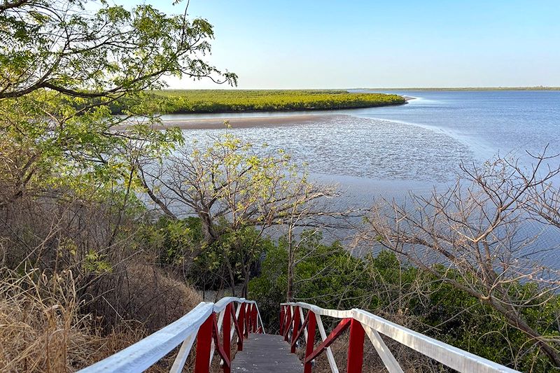 Île aux Coquillages sur le Delta du Saloum - Sénégal
