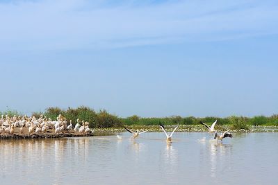 Au fil de l'eau et du temps... 2