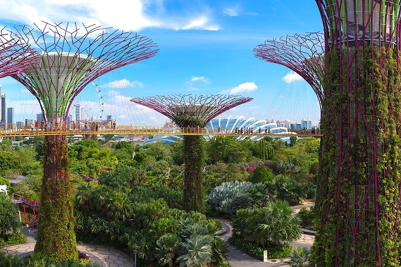 Gardens by the Bay - Singapour