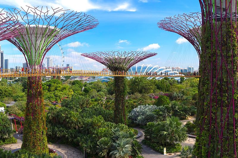 Gardens by the Bay - Singapour