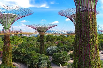 voyage Un détour par Singapour