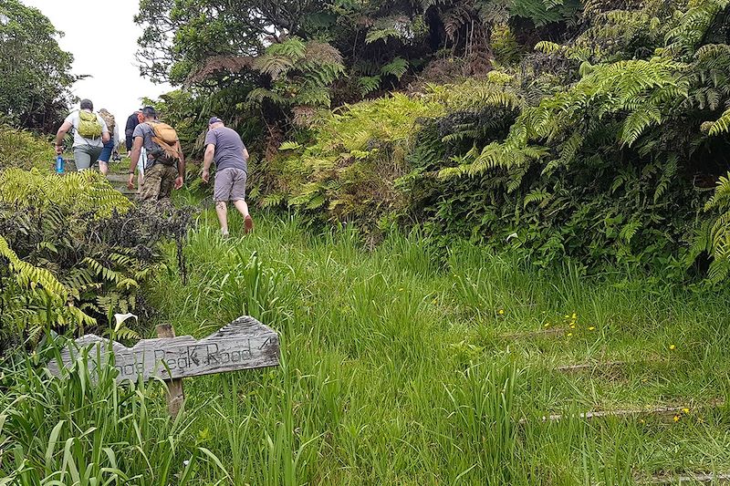 Sainte-Hélène, un voyage hors du temps