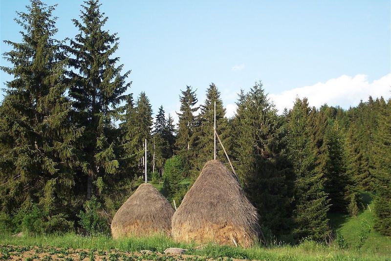 Serbie secrète et rives cachées du Monténégro