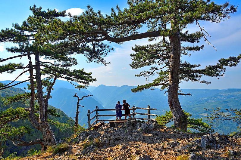 Point de vue Banjska Stena - Parc national de Tara - Serbie
