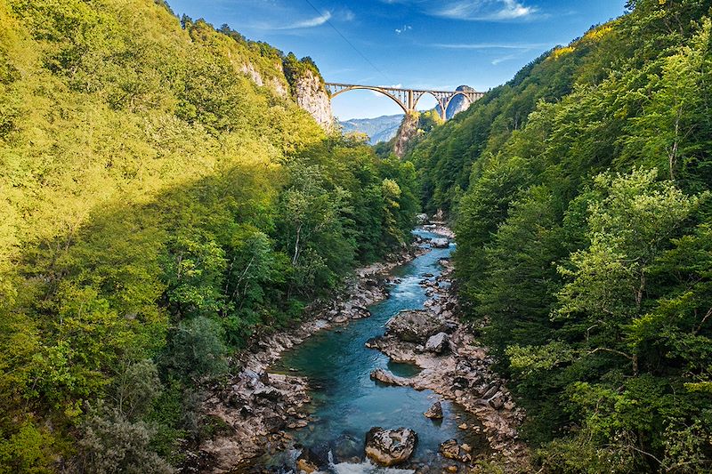 Canyon de la Tara - Serbie