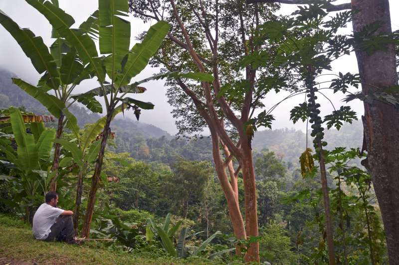 São Tomé, le paradis retrouvé !