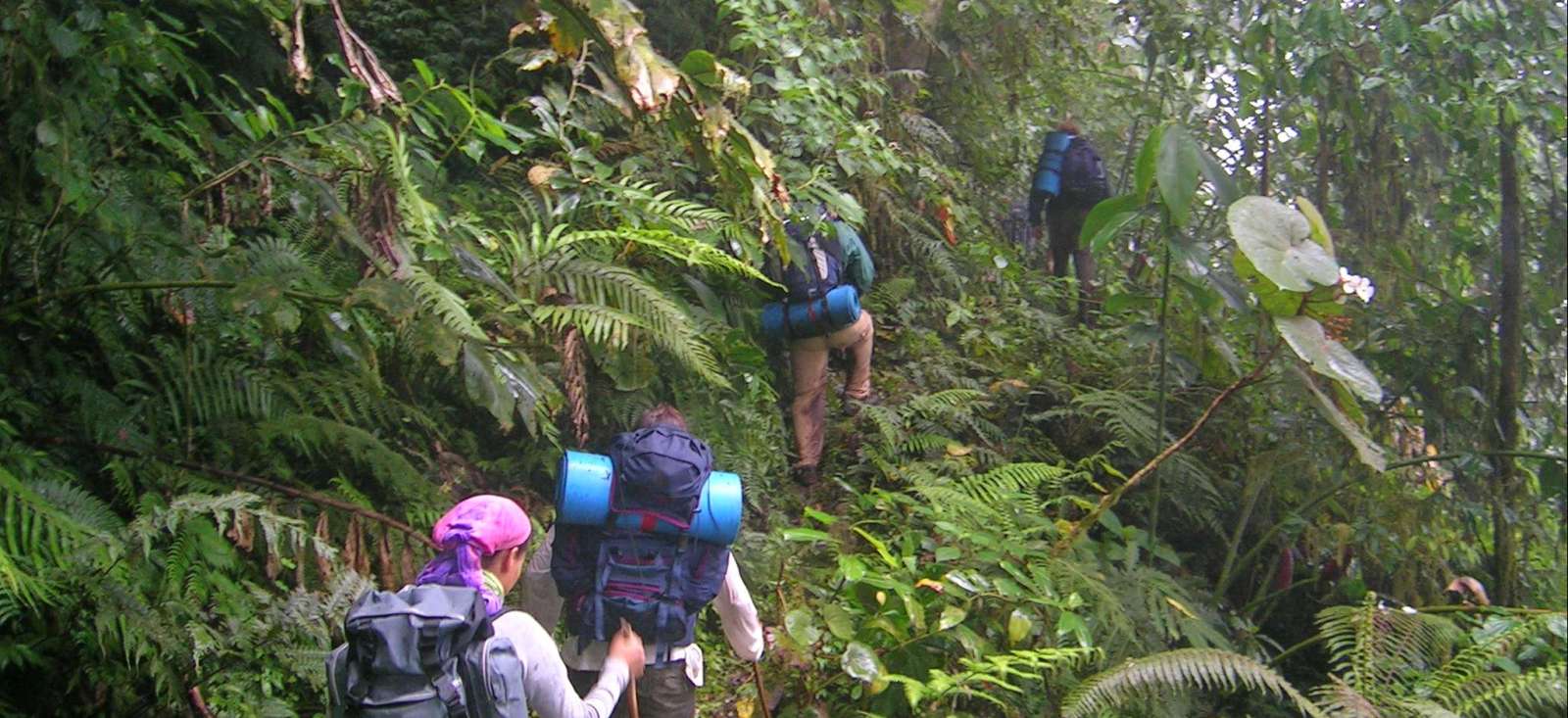 Voyage à pied : Trek équatorial sur les traces du cacao !