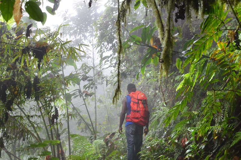 Randonnée entre Lagoa Amelia et Bombain - Parc naturel Obo - Sao Tomé-et-Principe