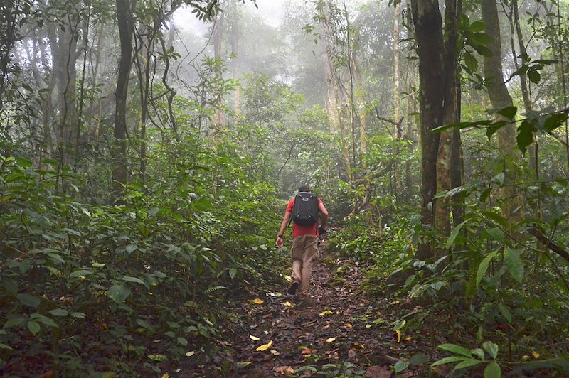 Lagoa Amelia dans le parc naturel Obo - Sao Tomé-et-Principe