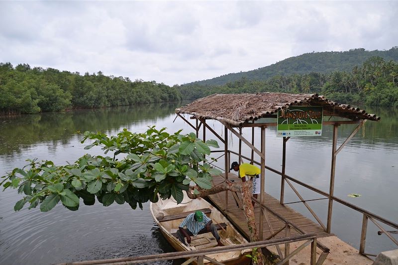 Mangrove près de Jale - Sao Tomé-et-Principe