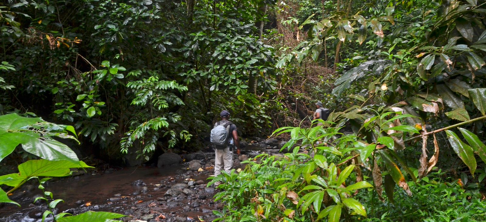 Image Trek équatorial sur les traces du cacao !