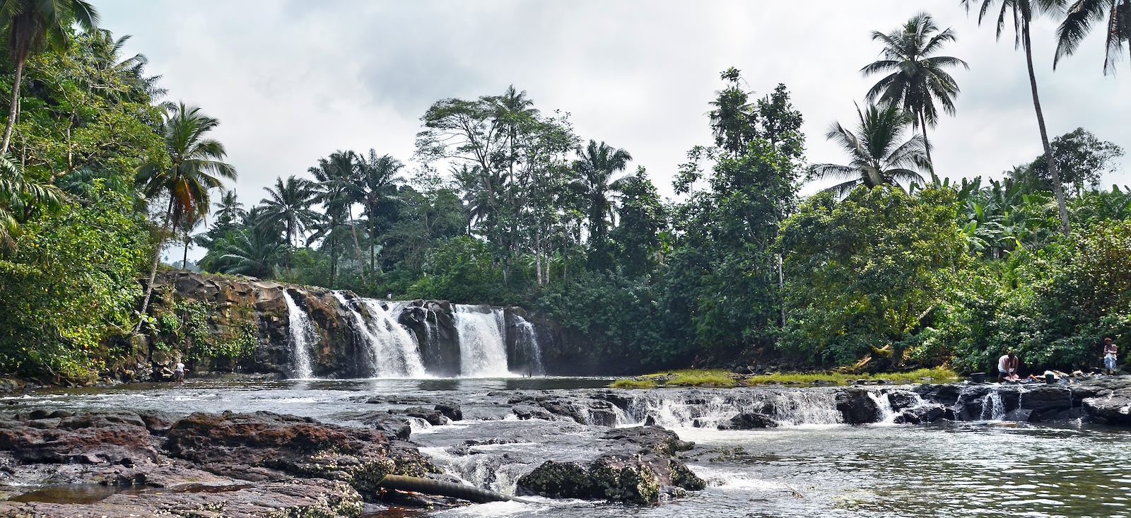 Image Trek équatorial sur les traces du cacao !