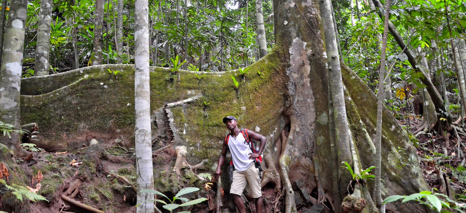 Image Trek équatorial sur les traces du cacao !