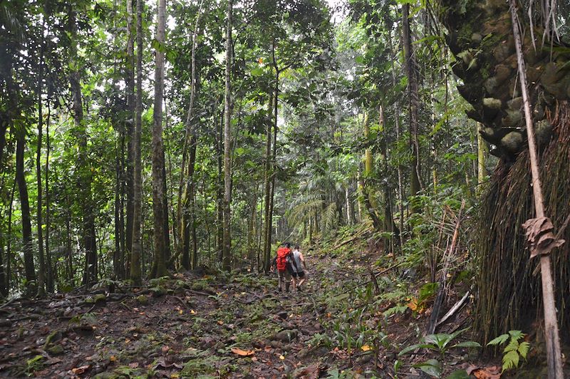 Randonnée entre Ribeira Peixe et Praia Grande - Sao Tomé-et-Principe