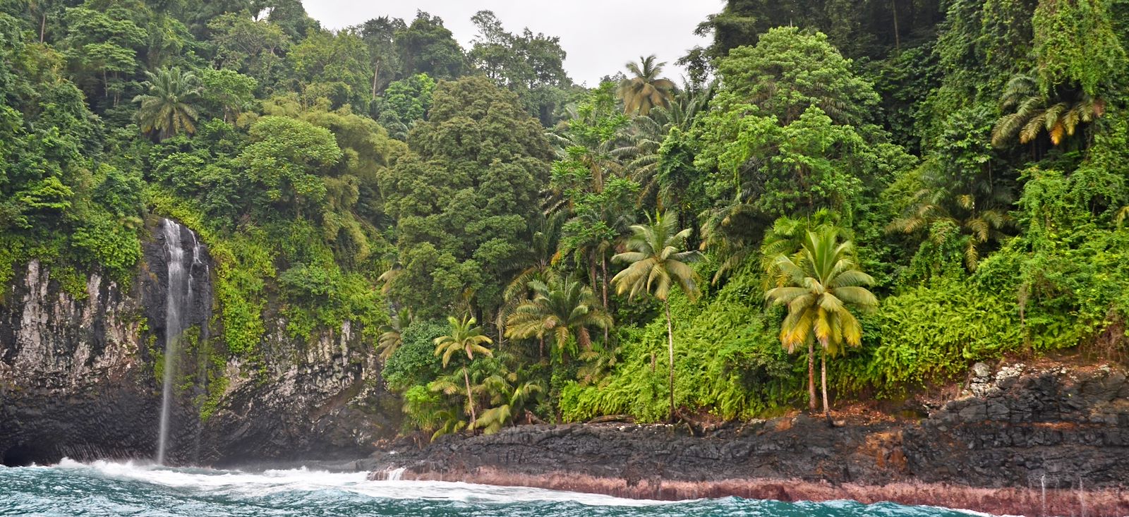 Image Trek équatorial sur les traces du cacao !