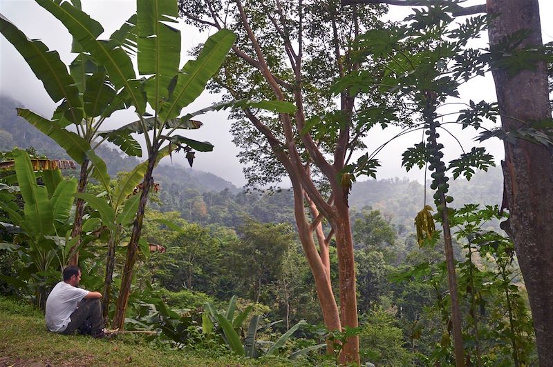 Randonnée entre Bombain et Claudino Faro - Parc naturel Obo - Sao Tomé-et-Principe