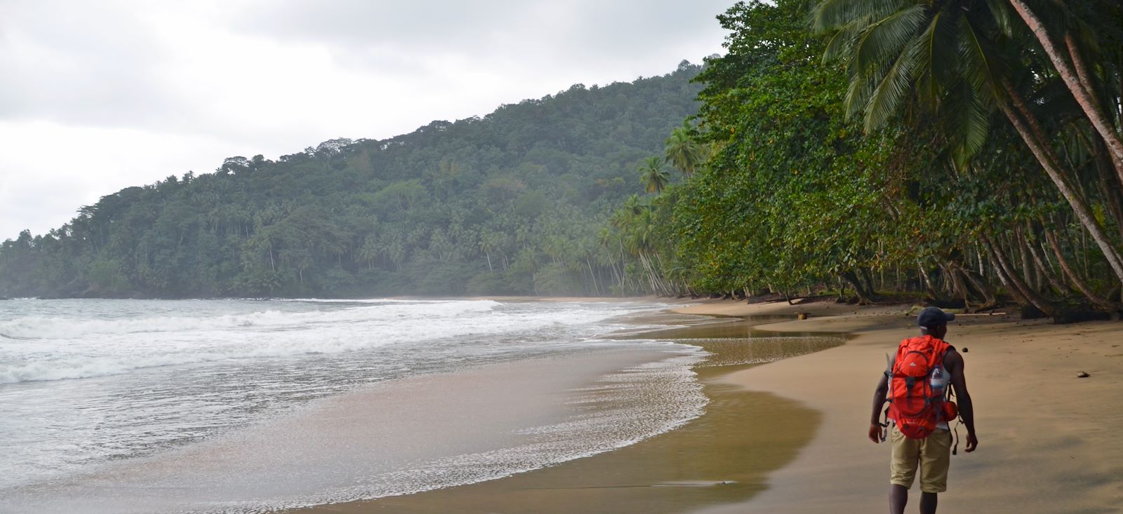 Image Trek équatorial sur les traces du cacao !