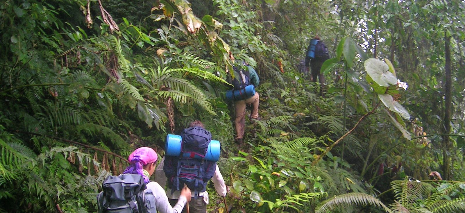 Trek équatorial sur les traces du cacao !