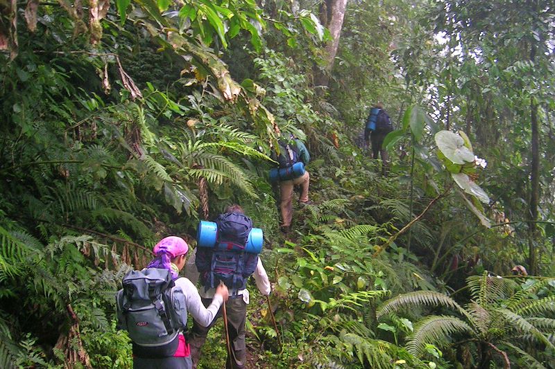 Randonnée au Pico de Sao Tomé - Sao Tomé-et-Principe