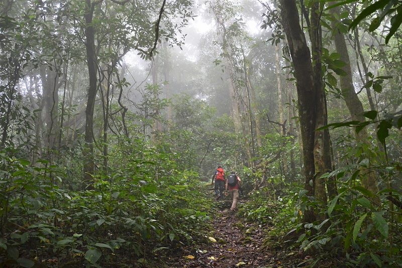 São Tomé, le paradis retrouvé !