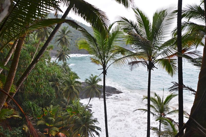 Randonnée entre Ribeira Peixe et Praia Grande - Sao Tomé-et-Principe