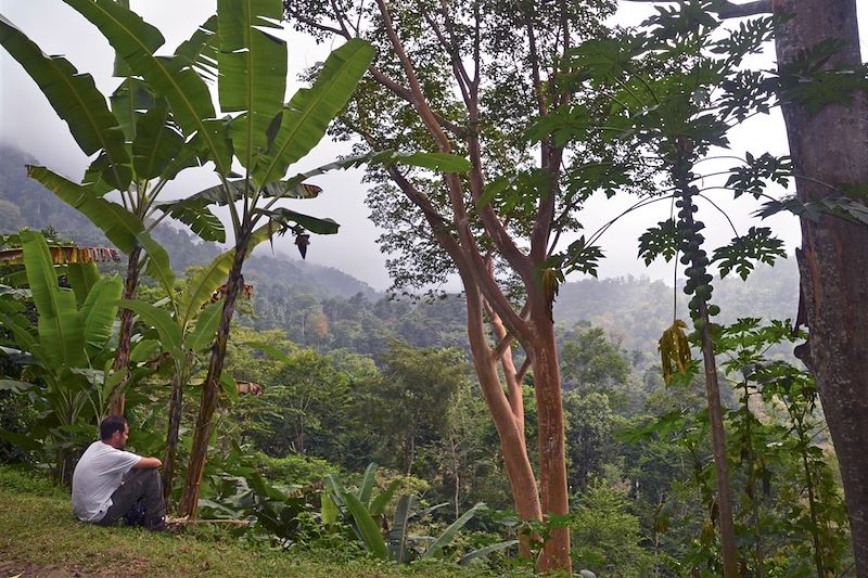 Randonnée entre Bombain et Claudino Faro - Parc naturel Obo - Sao Tomé-et-Principe