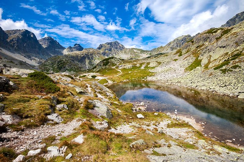 Vallée de Studena Dolina -  Hautes Tatras - Slovaquie