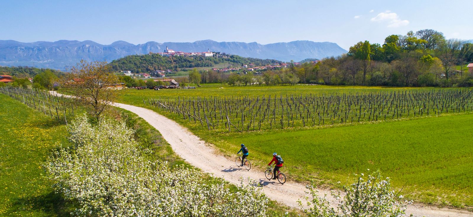 Sur les routes de Tadej Pogacar