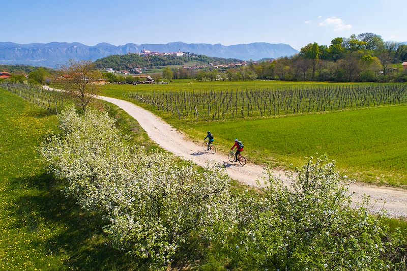 Sur les routes de Tadej Pogacar