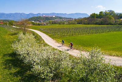 voyage Sur les routes de Tadej Pogacar