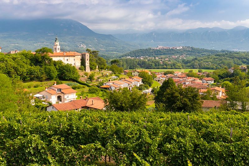 Vallée de Vipava - Carniole-Intérieure - Slovénie