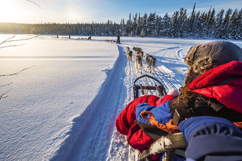 Traîneau à chien vers Kiruna - Laponie - Suède