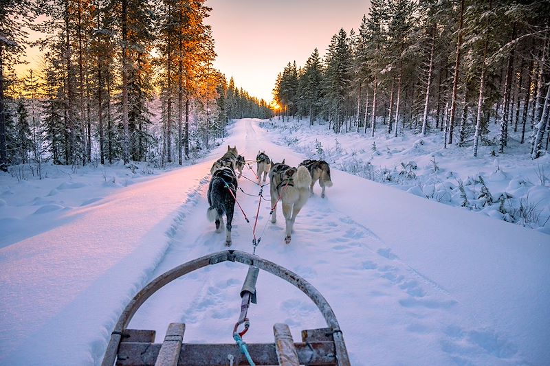 Raquettes, motoneige, et chiens de traineaux au coeur de la Laponie suédoise. Un voyage vendu hors transport aérien.