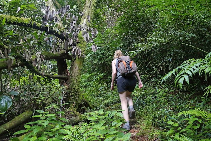 L'aventure charme SeychElles !