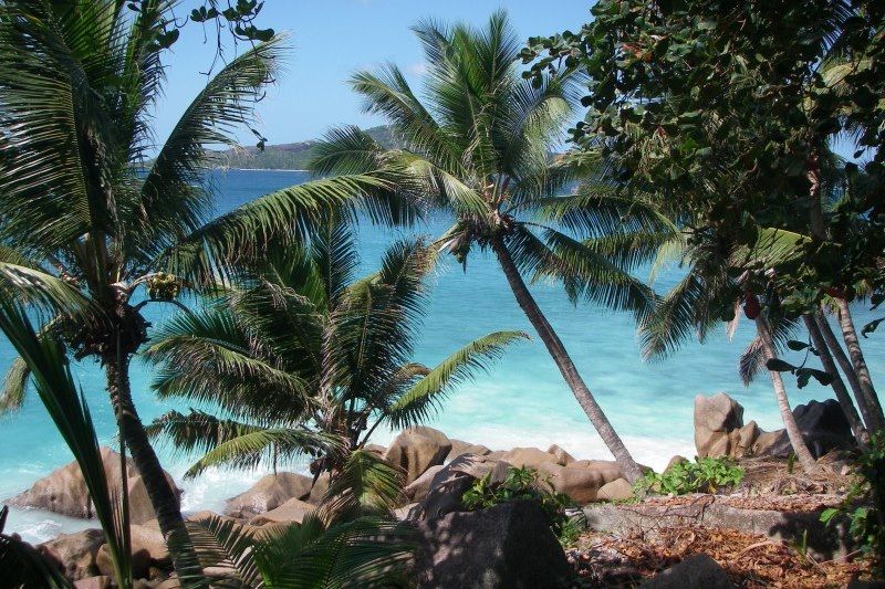 Anse Patate - La Digue - Seychelles