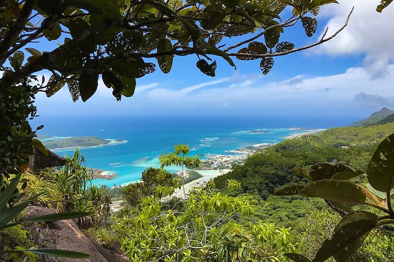 Randonnée seychelloise... et île de rêve !