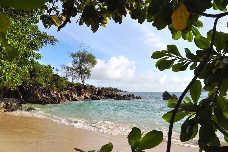 Randonnée seychelloise... et île de rêve !