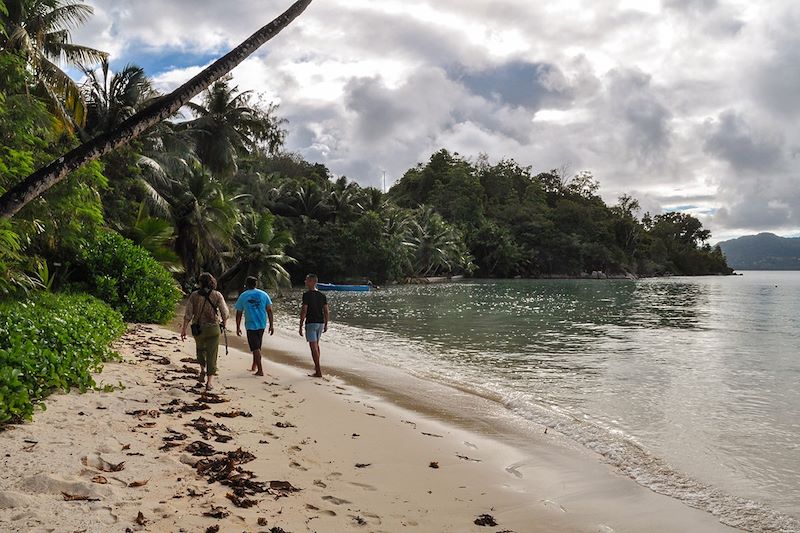 Randonnée sur l'Île au Cerf - Seychelles