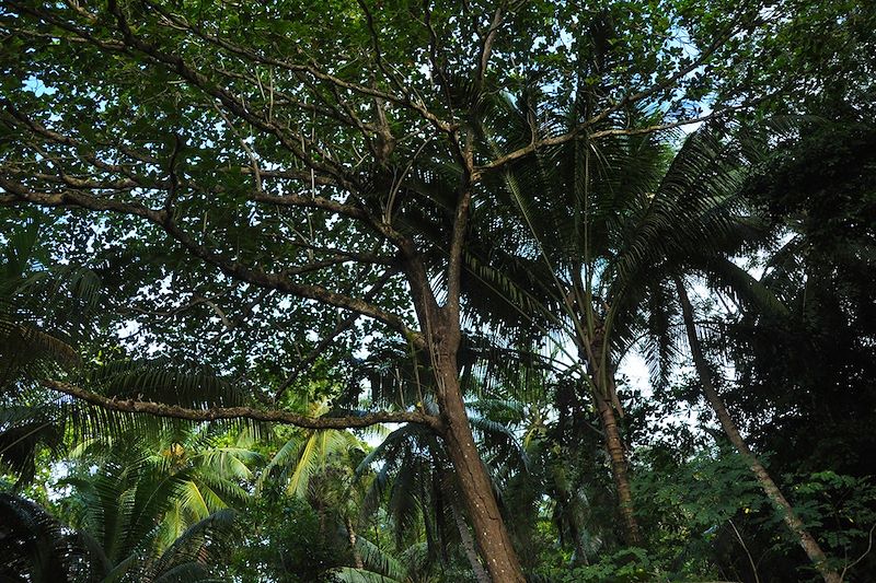 Randonnée seychelloise... et île de rêve !