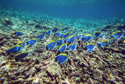 Les Seychelles en famille 2