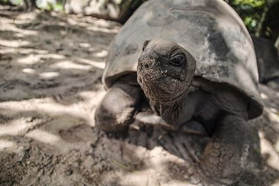 Les Seychelles en famille 3